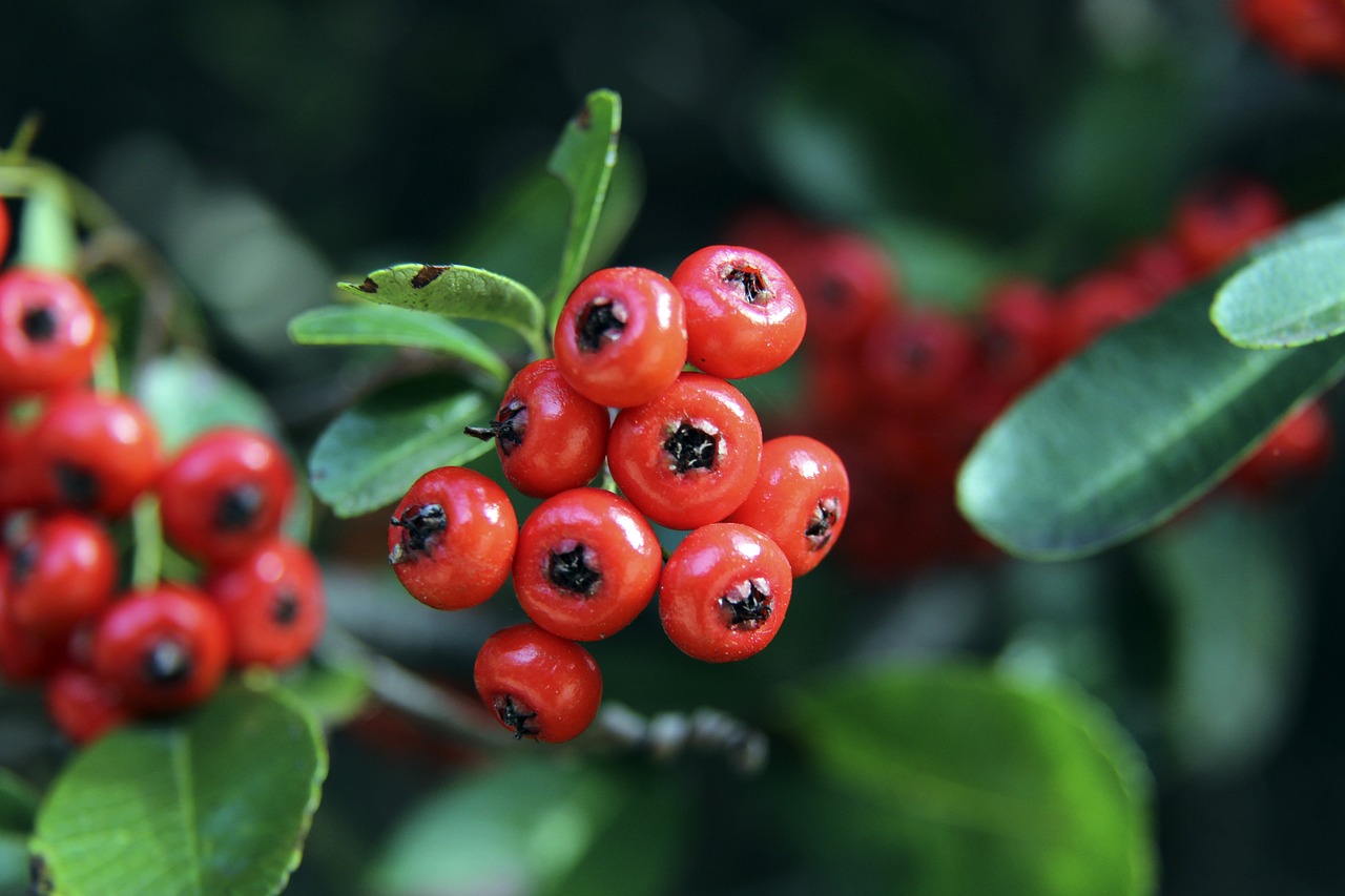 了坚实基础 了坚实基础