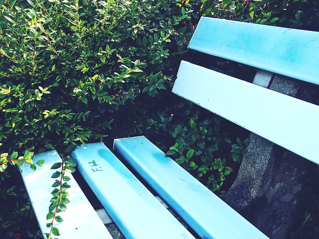 卡塔尔财团 卡塔尔财团