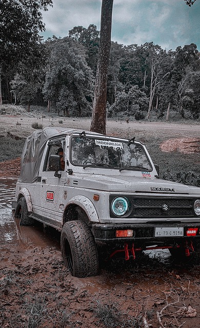 若详查数据 若详查数据