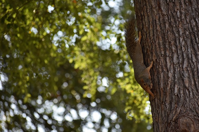 他们不仅需 他们不仅需