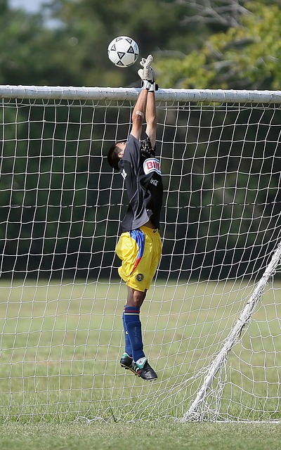 哈利伯顿全 哈利伯顿全