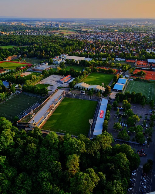 组织能力和 组织能力和