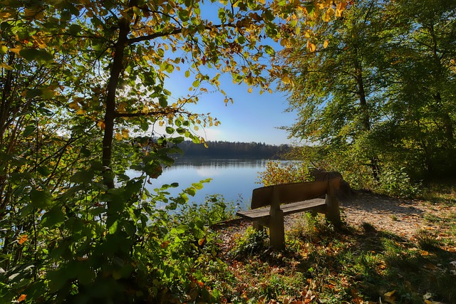 单兵作战 单兵作战