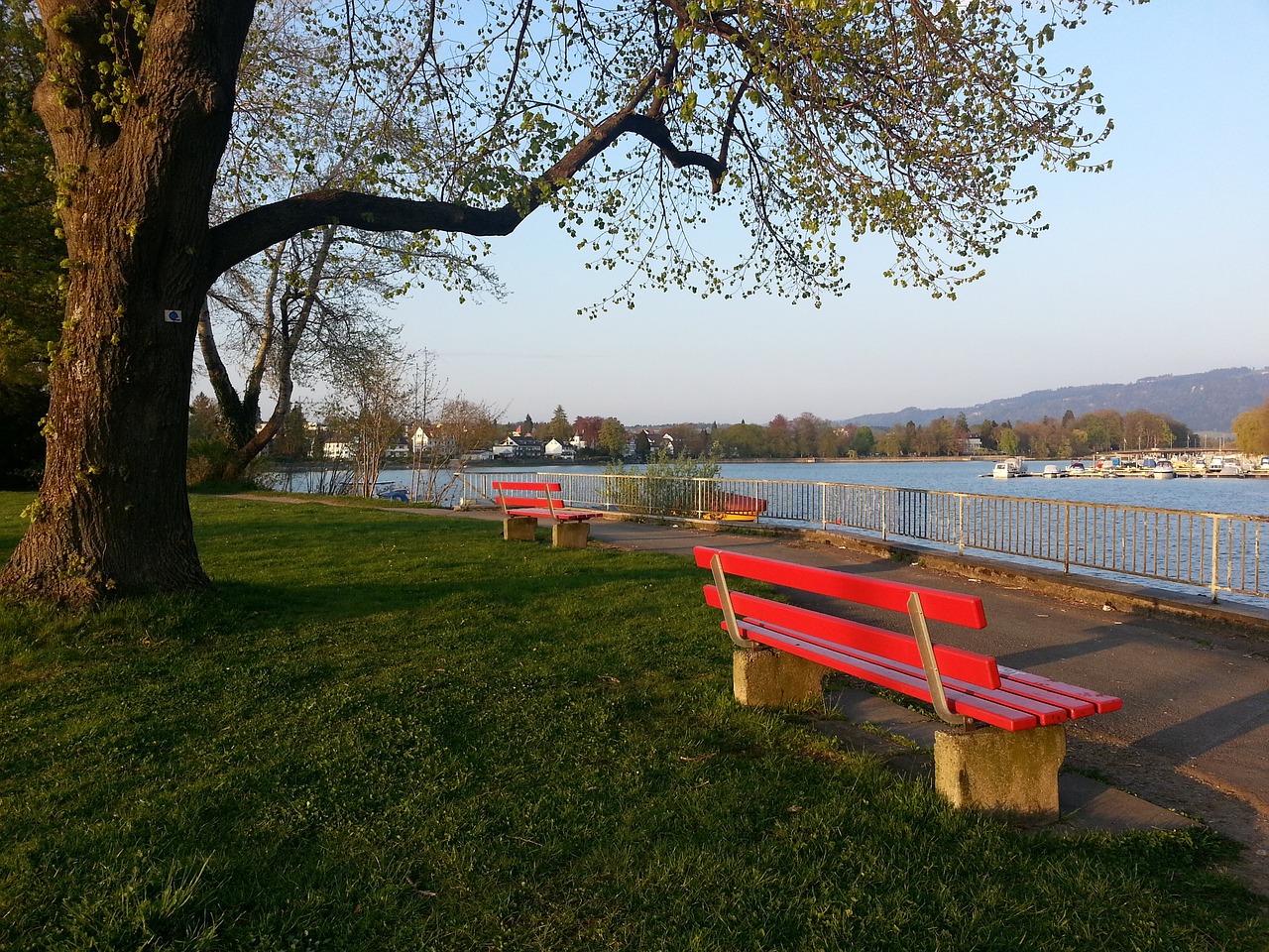 甚至部分动 甚至部分动