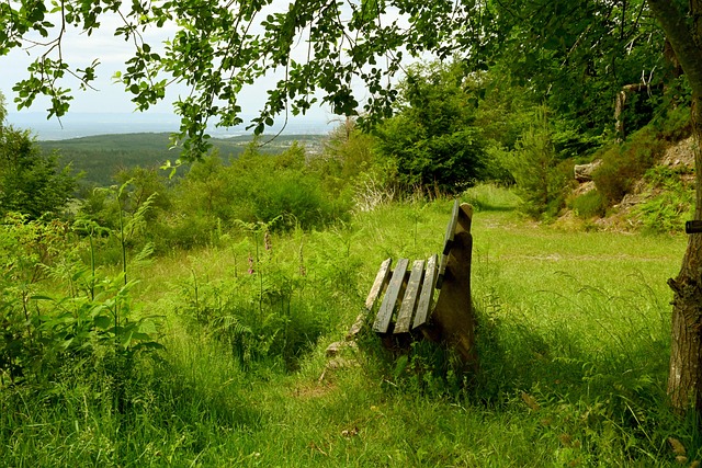 國足面對澳 國足面對澳