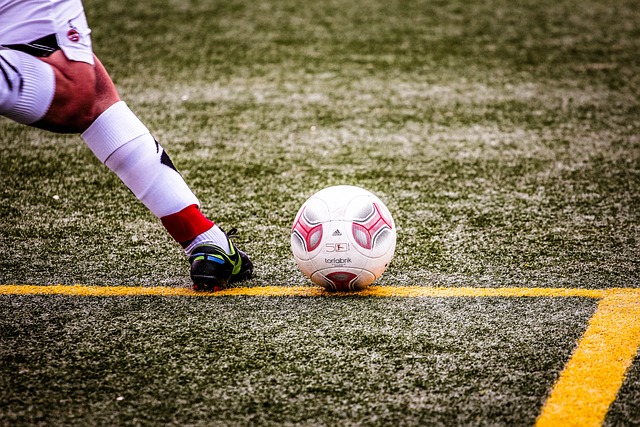 经济因素与 经济因素与