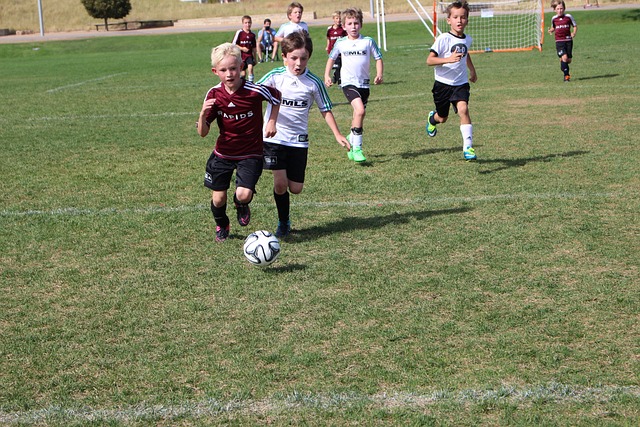 球的頂級平 球的頂級平