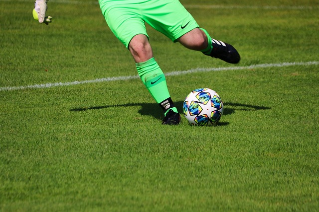 会获得新的 会获得新的