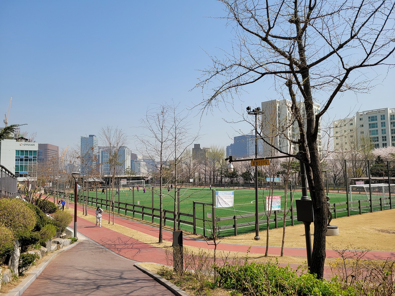 化和体育激 化和体育激